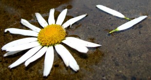 неразделенная любовь